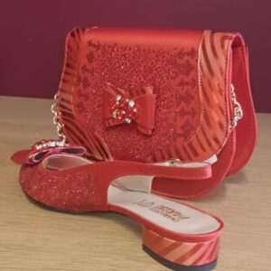 Italian shoes and bag set