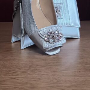 Italian shoes and bag set